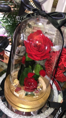 Large Forever Rose Dome
