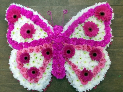 Pink & White Butterfly