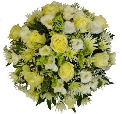 Traditional White & Cream Posie