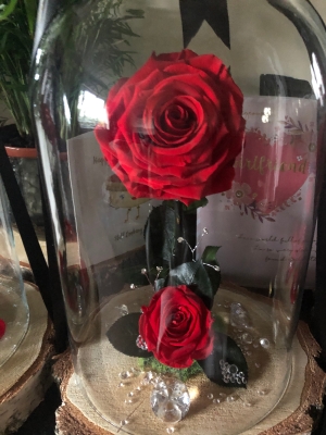 Handcrafted Natural wooden based luxury Rose Dome