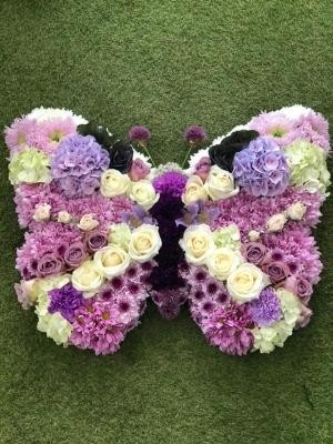 Lilac Butterfly