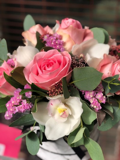 MARVEL IN ITS BEAUTY