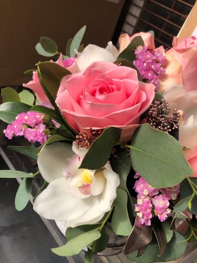 MARVEL IN ITS BEAUTY