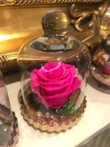 Small Forever Rose Dome