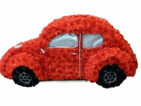 Beetle  Car