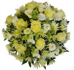 Traditional White & Cream Posie