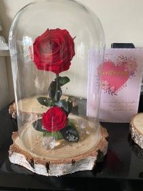 Handcrafted Natural wooden based luxury Rose Dome