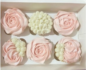 Cupcake Boxes