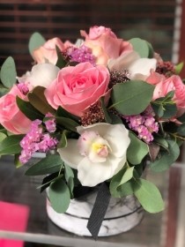 MARVEL IN ITS BEAUTY